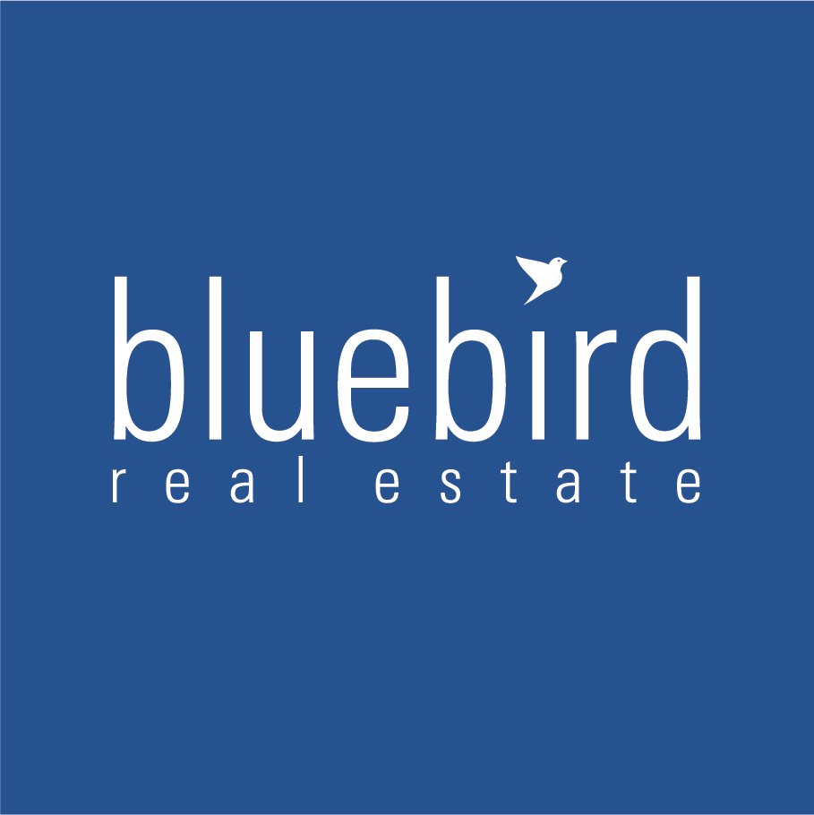 bluebird_square_logo_01.jpg