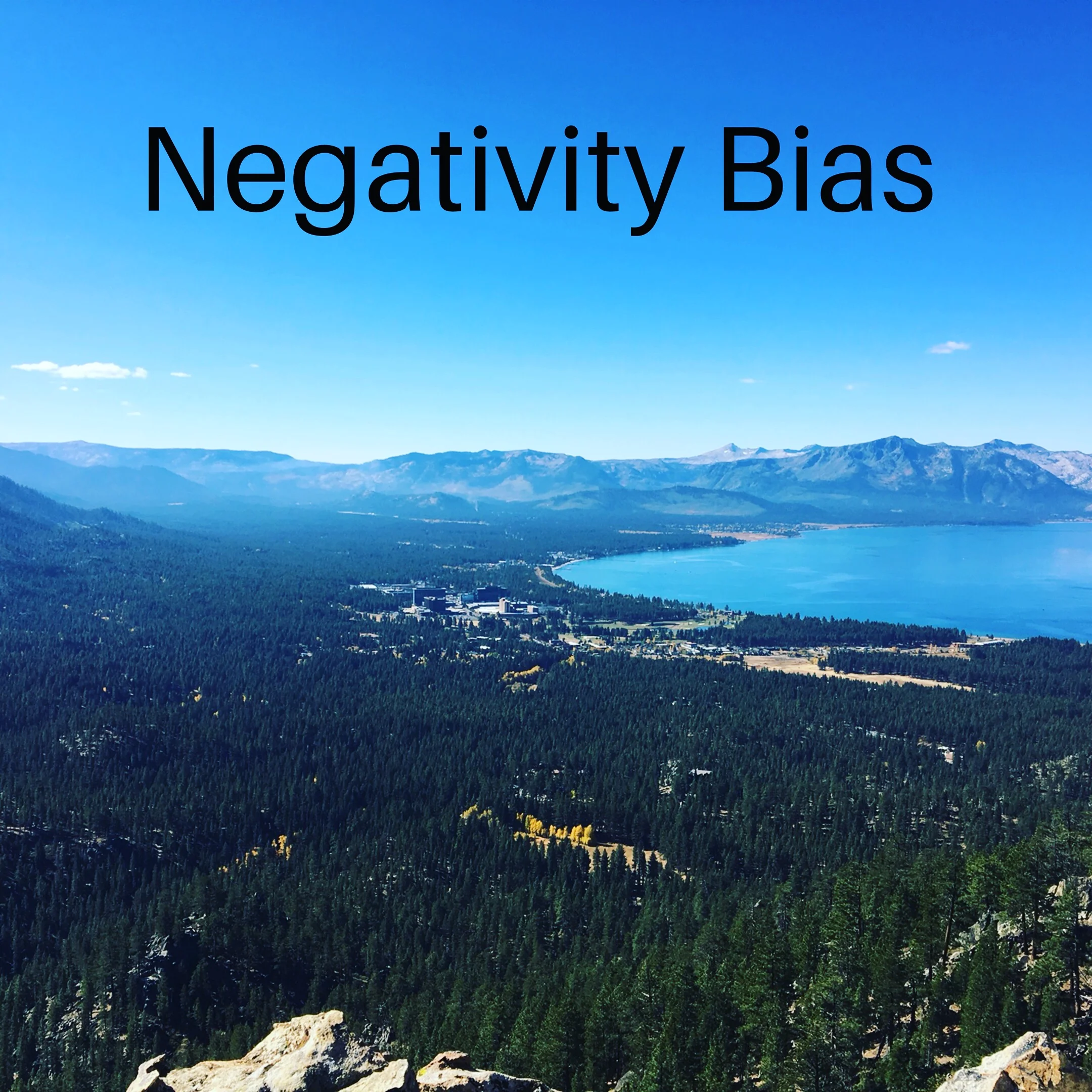 Negativity Bias