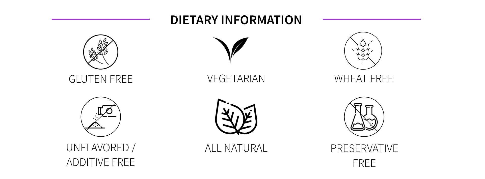 Whey Protein Body Composition