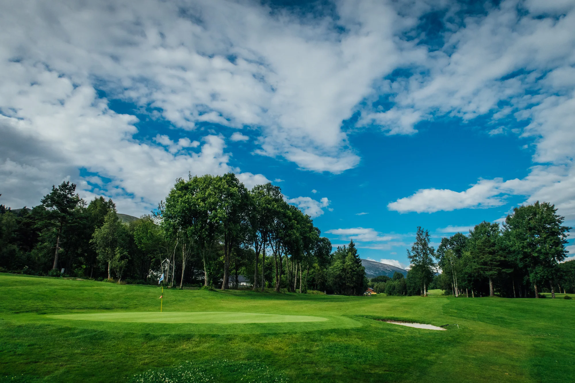 hull9_golf-4.jpg