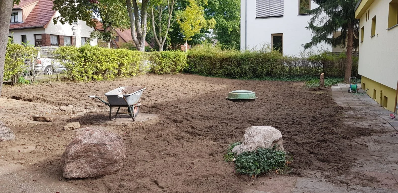 Projekt: HSC-Wildblumenwiese 