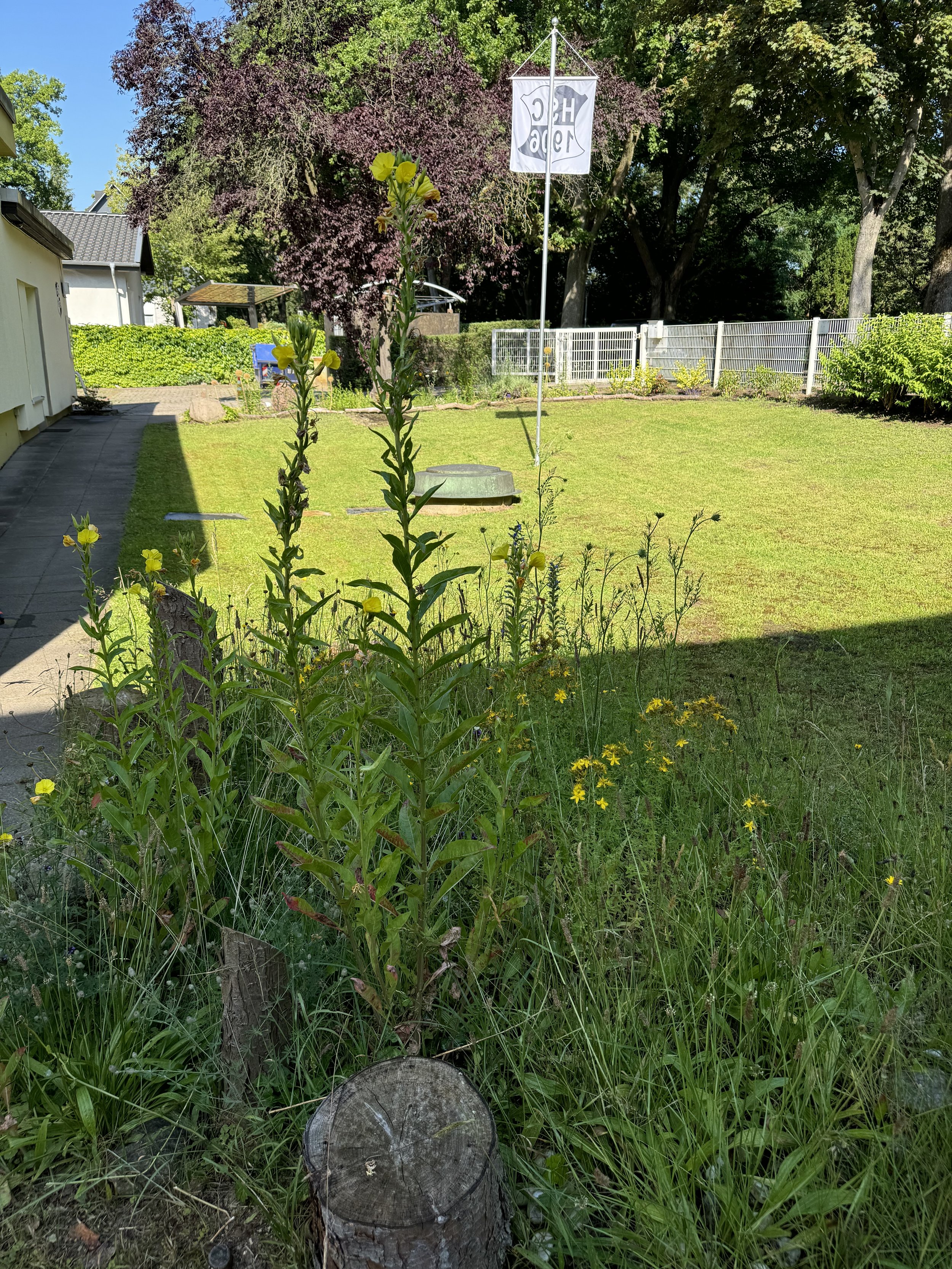 IMG_1520.jpeg
