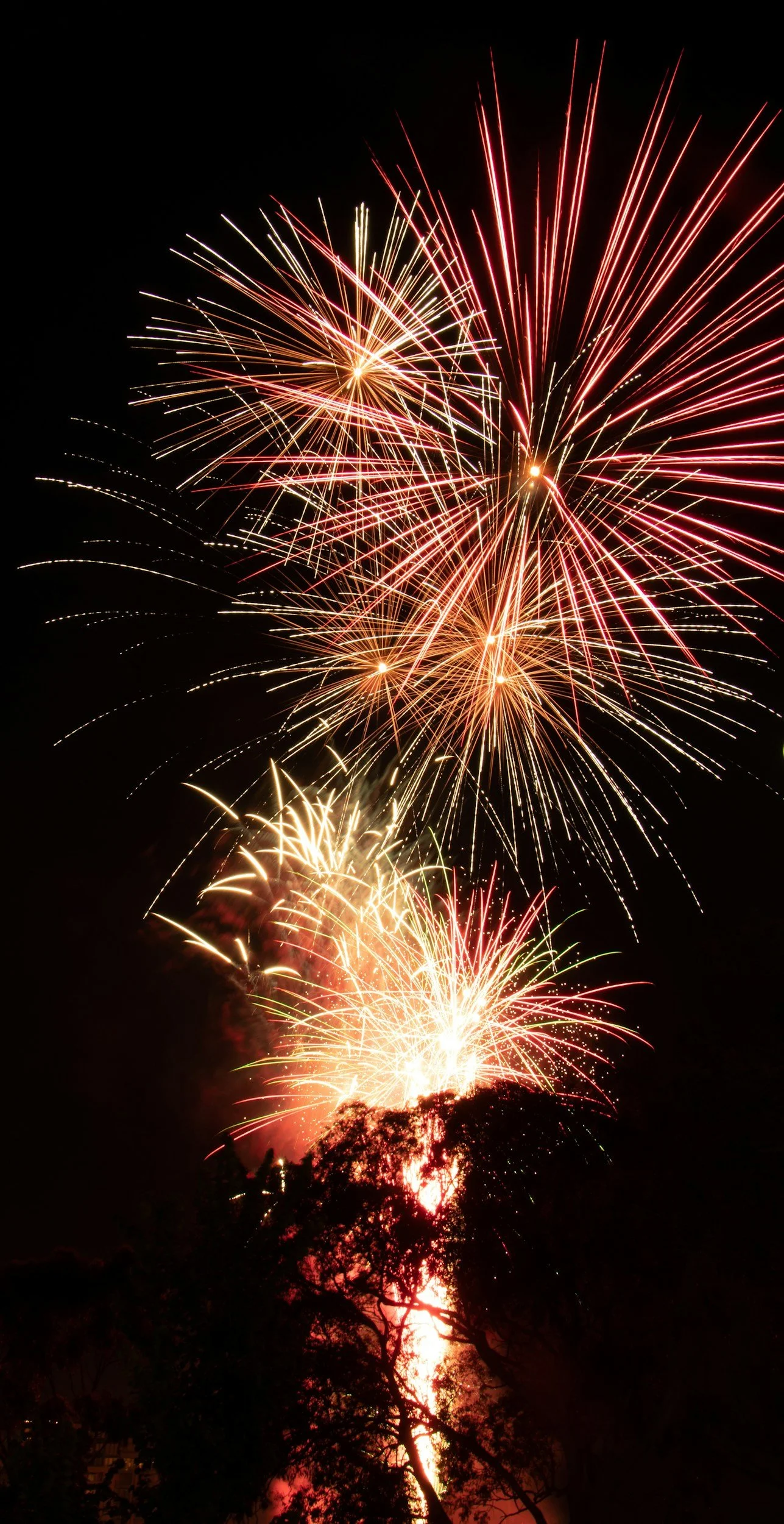 Silvester kann kommen!