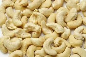 President Magufuli Issues Ultimatum To Ministry On Cashews