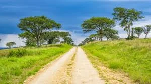 Uganda Searches For Abducted Tourist