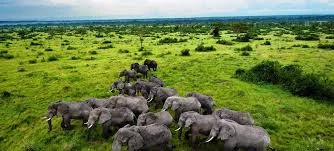 East Africa Records Impressive Tourism Growth