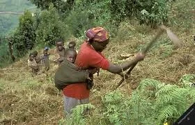  Ugandan Government Issues Famine Warning