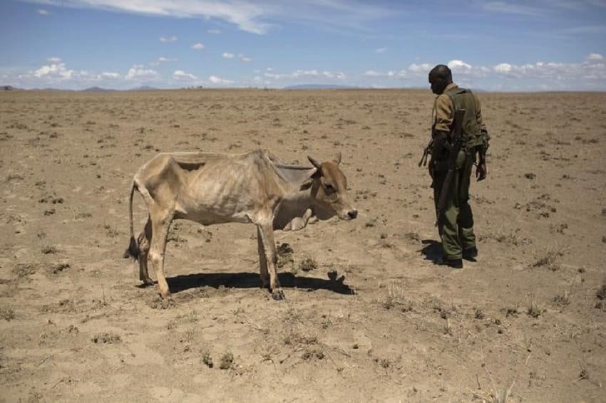 Kenya Facing Worst Drought in 38 Years