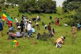 Ethiopia Breaks Tree Planting World Record