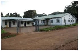 Uganda Begins Experimental Ebola Vaccine Trial