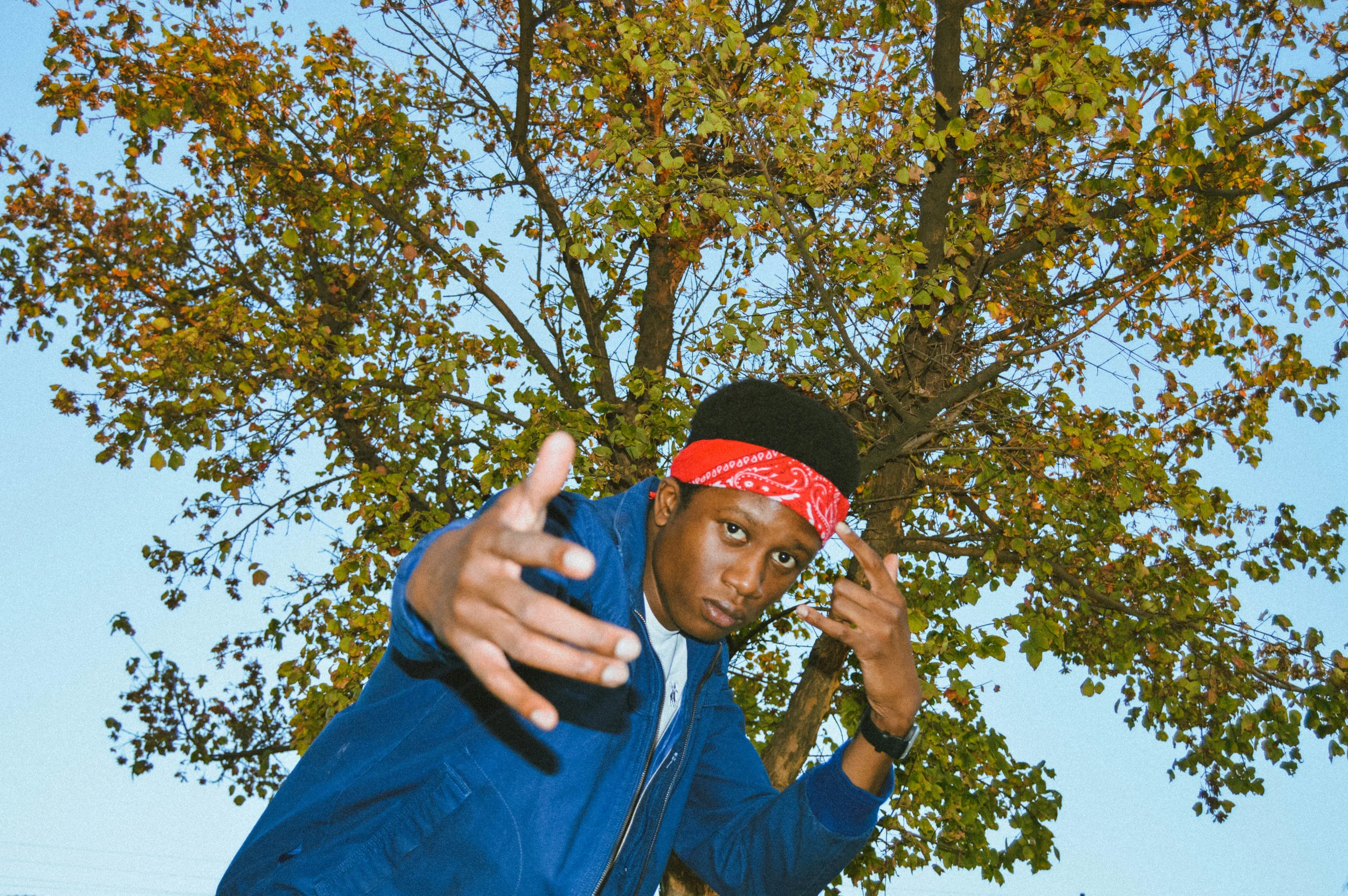 Vodacom Tanzania supports WWF Greening Dodoma project, aims to plant 100,000 trees in first year