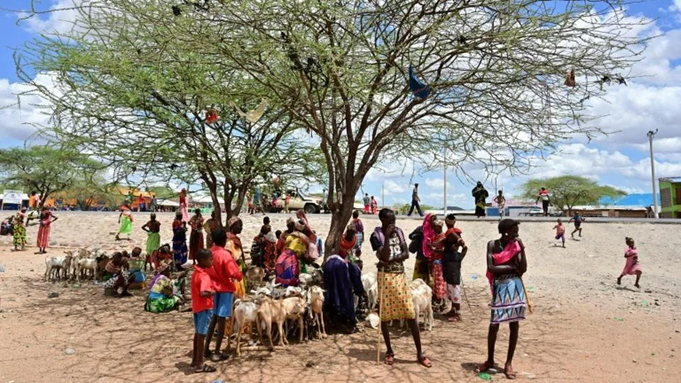 Twelve killed in attacks by cattle rustlers in northern Kenya