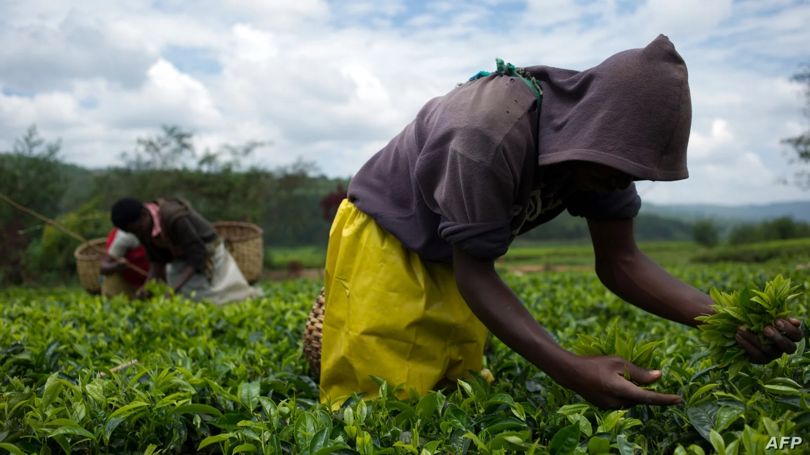 Rwanda Accused of Manipulating Poverty Statistics