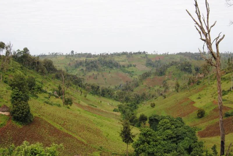Families To Be Relocated From Mau Forest To Save Water Tower