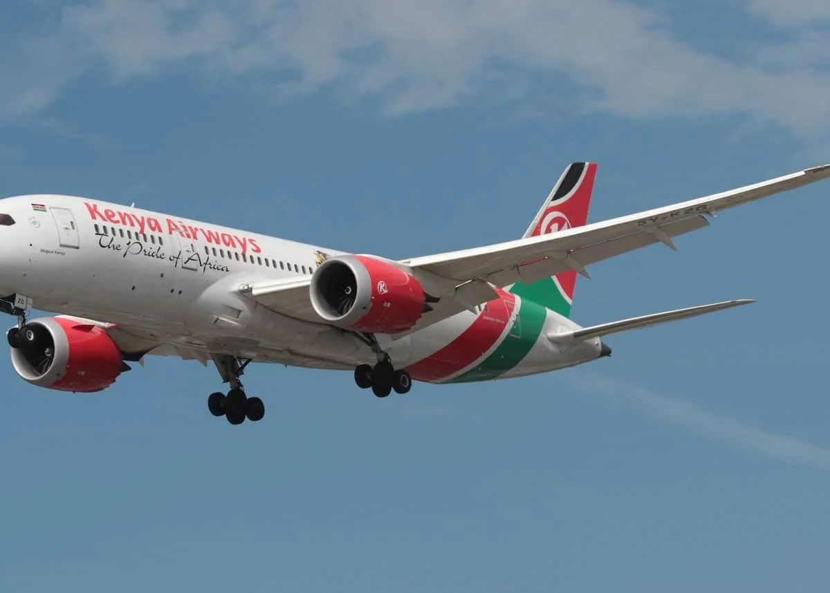 OR Tambo flight drama: “Accidental stowaway” forces plane to turn back