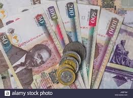 Kenyan shilling firms on tight liquidity, offshore investor flows