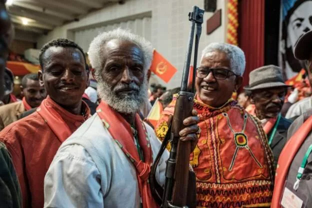 Ethiopia passes landmark gun legislation