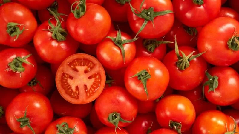 Record rains push up tomato prices in East Africa
