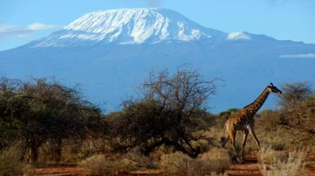 Coronavirus: Tanzania extends visas for stranded tourists