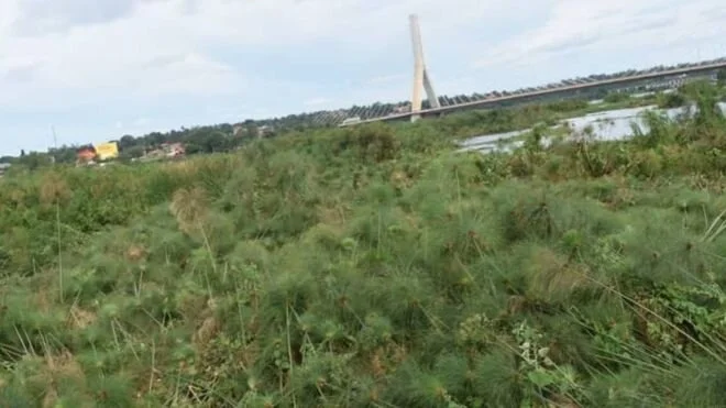 Floating island in Lake Victoria causes power cut