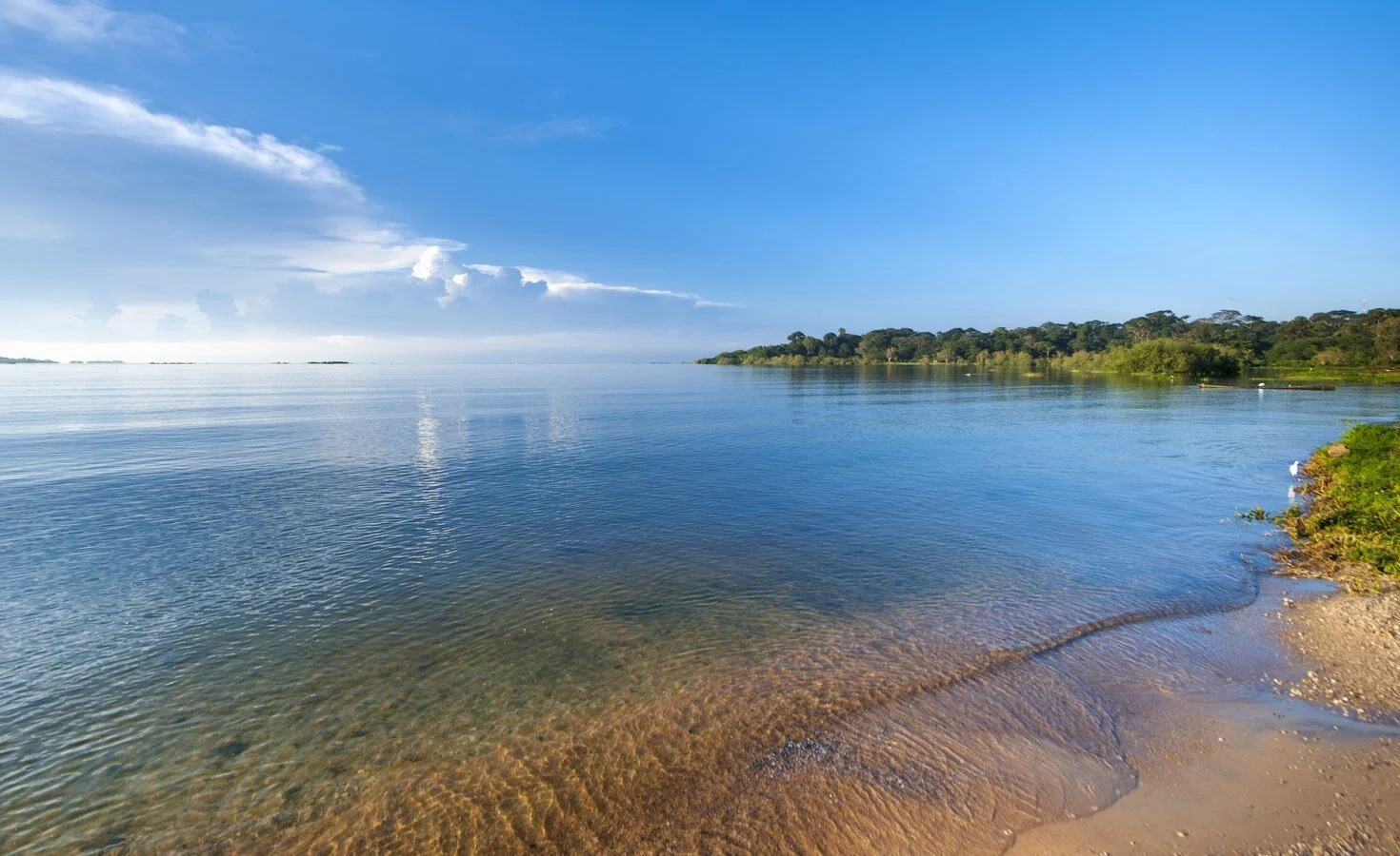 Lake Victoria waters reach alarming levels