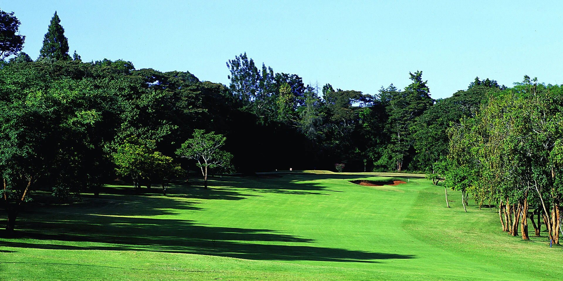 Kenyan golf courses remain in shape despite virus enforced inactivity