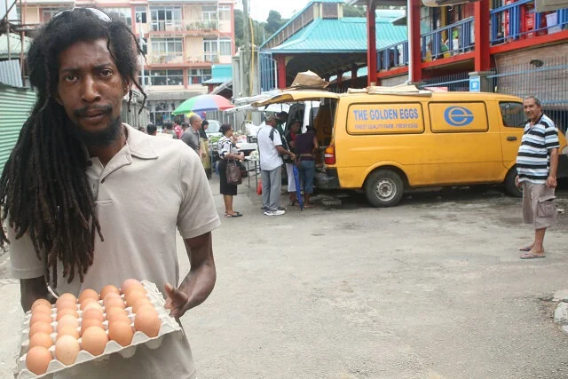 With No Omelette-Eating Tourists, Poultry Farmers in Seychelles Struggle to Sell Eggs, Keep Hens