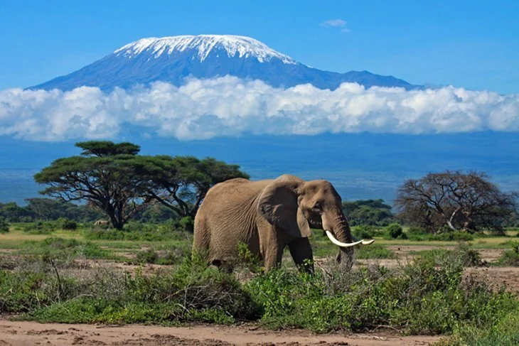 Tanzania expects tourism boom after lifting flight ban