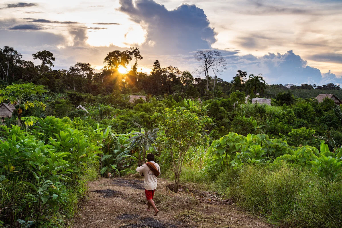 Former Presidents call on African Governments to ‘invest in nature’