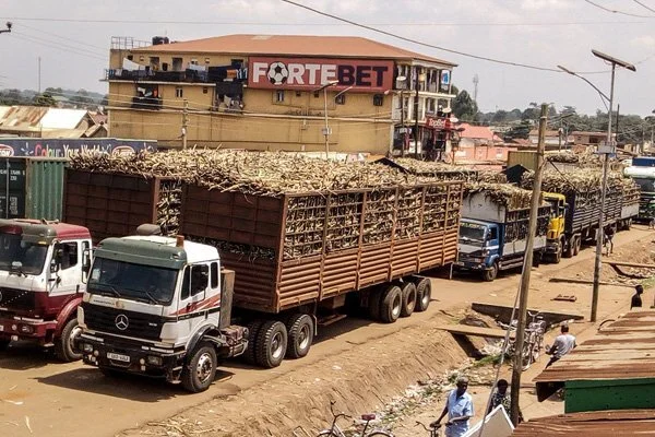 What Kenya’s ban on brown sugar, cane means for Uganda
