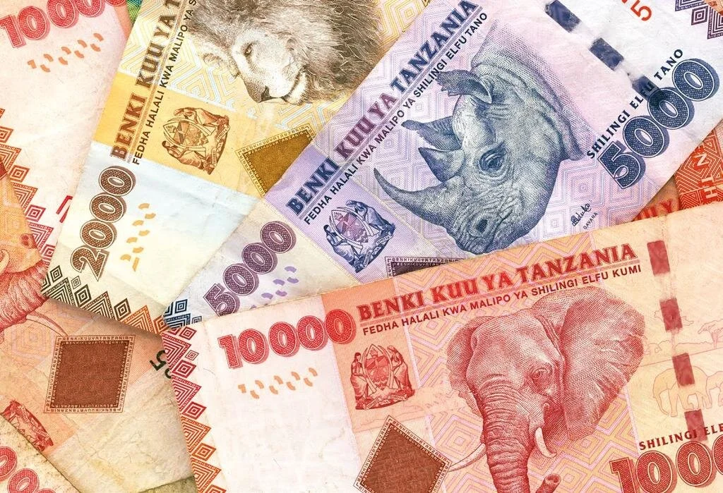 Tanzania: Director pushes for new banknotes bearing JPM’s portrait