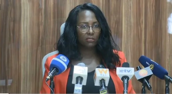 Ethiopia plans to retrieve 60% of public wealth hidden abroad