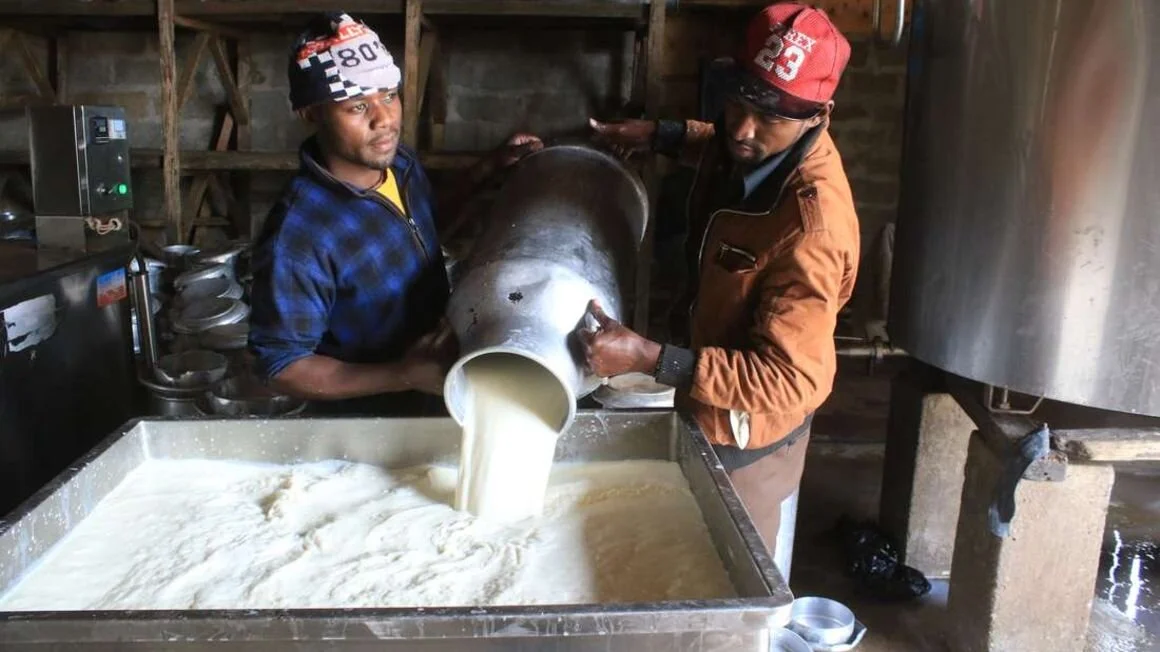 Kenya: US dairy farmers seek free access to Kenyan market