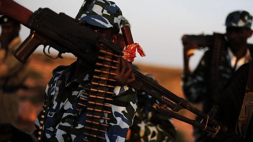 Somali money transfer firms 'used to pay arms dealers'