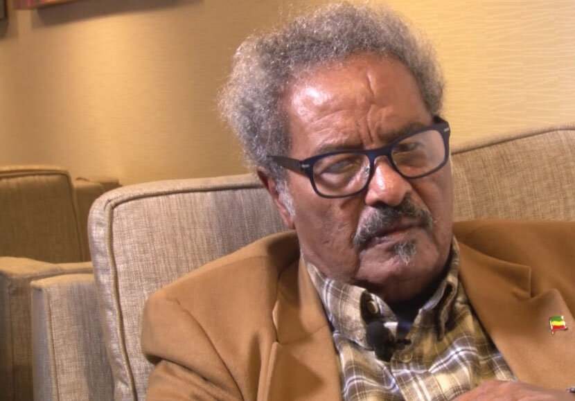 Veteran Ethiopian activist Mesfin Woldemariam dies