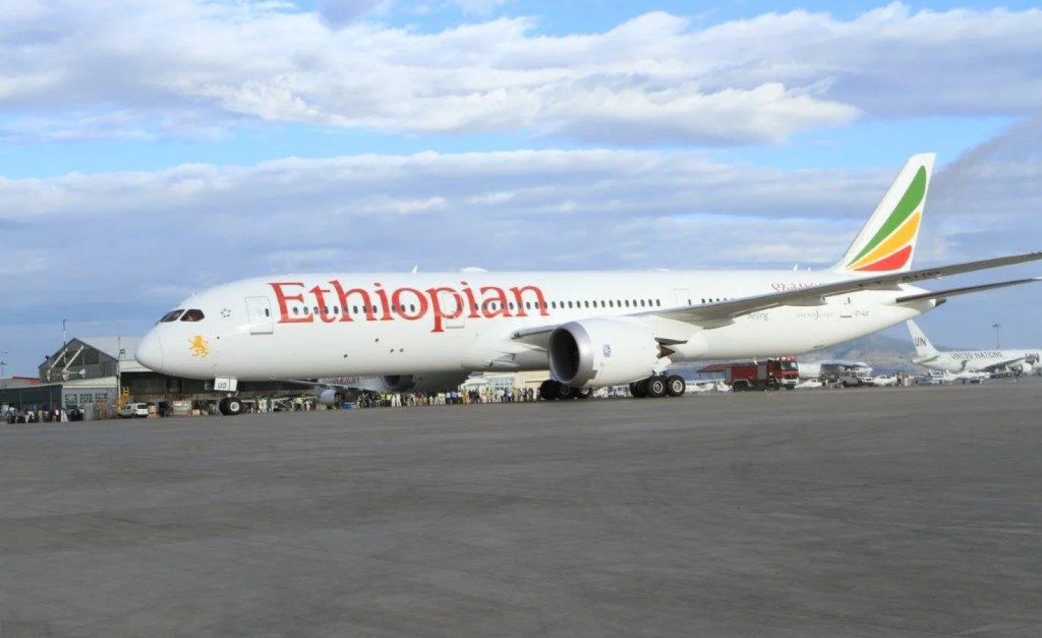 Partial privatization of Ethiopian put on hold