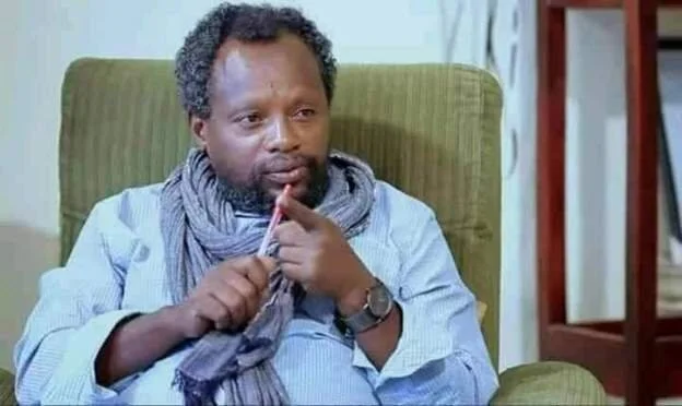 Ethiopian journalist Temesgen Desalegn released after arrest
