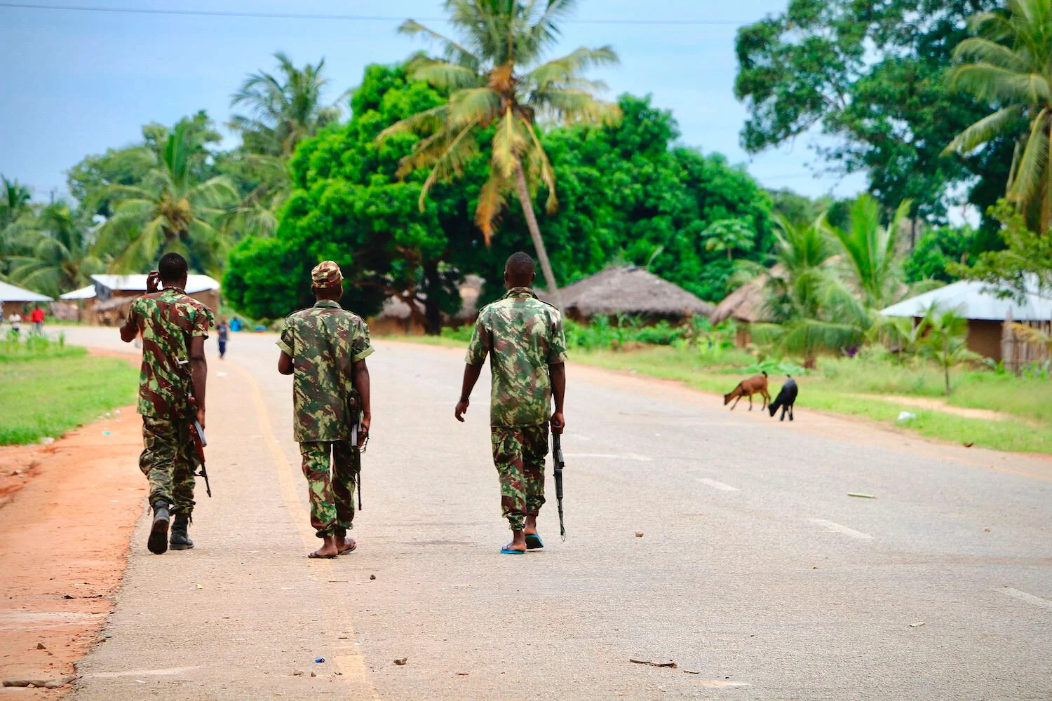 Tanzania: 300 militants crossed over from Mozambique