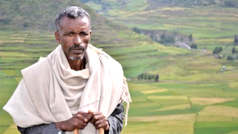 How a brewery in Ethiopia is restoring a watershed