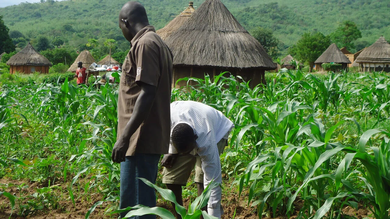Data driven agriculture can solve the challenge of food security in Africa