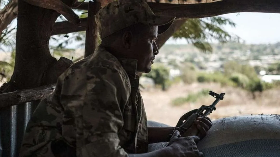 Ethiopia: Abiy says TPLF crackdown was necessary, agrees to dialogue with ‘legal’ political parties