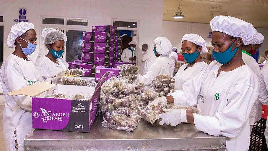 Rwanda’s agric export revenues drop by 5.5%