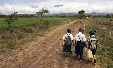 Tanzania: All villages will be electrified, parliament told