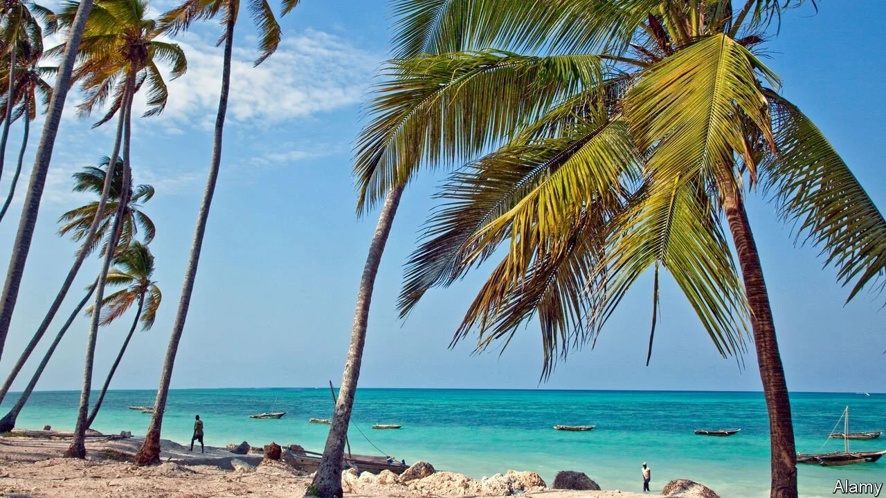 Tree trade: The complications of buying land in Zanzibar