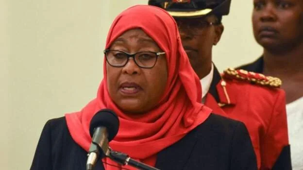 New Tanzania president reshuffles ministers