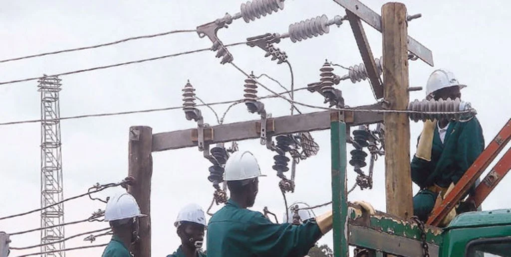 Tanzania: Government plans to electrify 2,000 more villages
