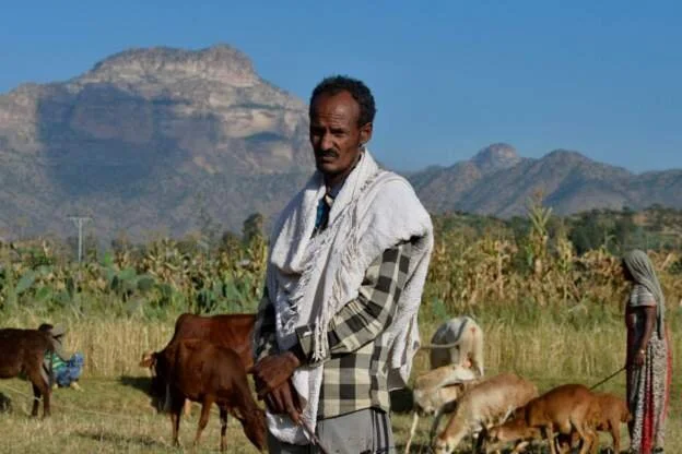 'Farming being prevented' in war-torn Ethiopian area