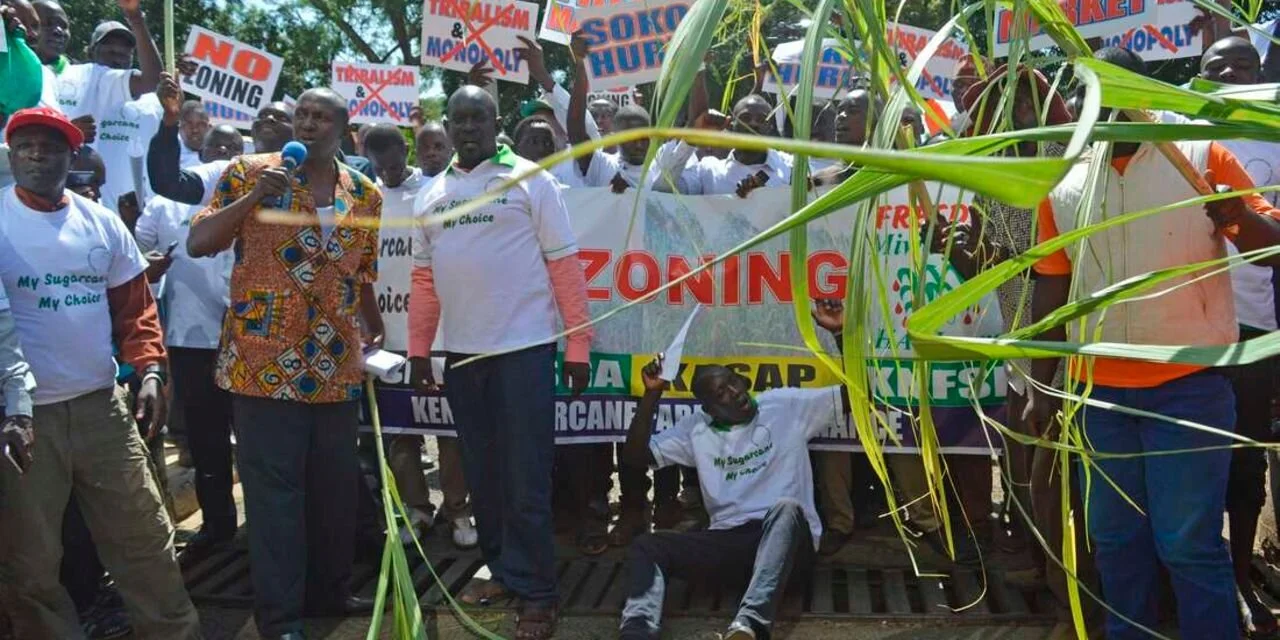 Kenya: Report blames State for sugar sector collapse