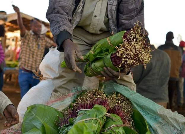 Kenya lifts ban on Somalia flights