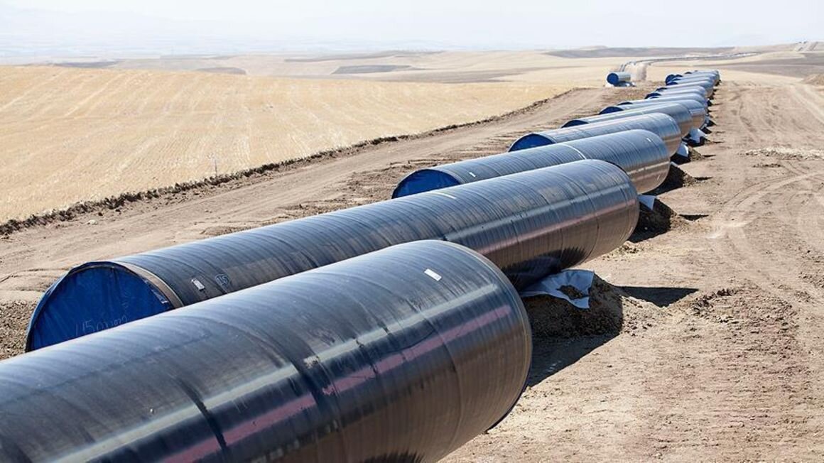 Tanzania: Concerns Raised Over Red Tape At the East African Crude Oil Pipeline Project